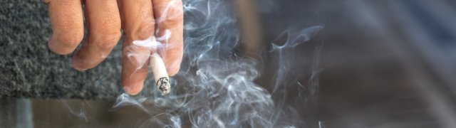 Výsledky Philip Morris ČR jsou lepší, než se na první pohled zdá