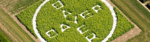 Společnost Bayer propustí 12 tisíc zaměstnanců