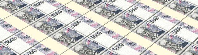 Zadlužení veřejného sektoru dosáhlo úrovně 40,5 procenta