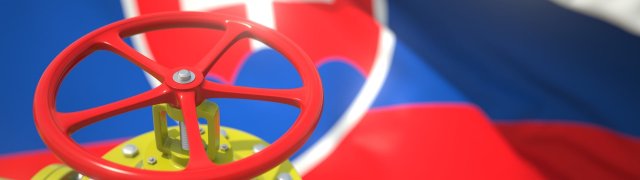 Česko nabídlo Slovensku pomoc při problémech po odstřižení od ruského plynu