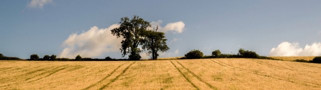 Investice do pozemků jsou méně obvyklé, ale pro zkušené investory představují způsob, jak zhodnotit své peníze s vysokým dlouhodobým výnosem