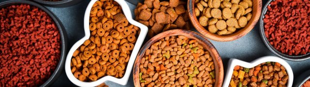 Češi utratili miliardy za krmivo: Jaké jsou nové trendy v pet food byznysu?