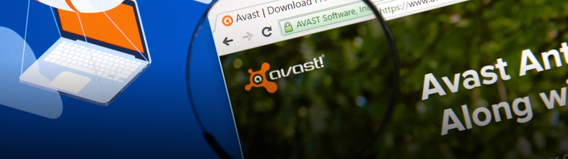 Akcie Avastu výrazně rostou v reakci na rozhovory o převzetí podniku
